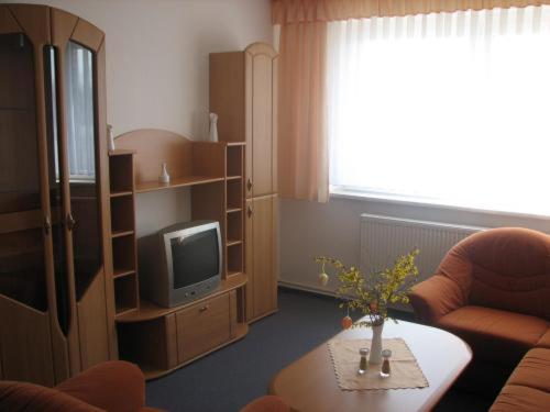 Apartmenthotel-Harz Friedrichsbrunn Eksteriør bilde